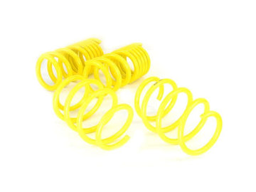 Dreamscience Ford Mustang S550 V8 GT Lowering Springs (30mm)