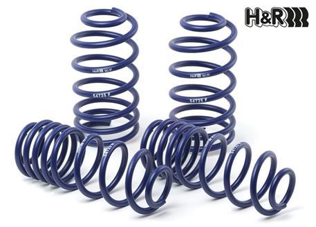 Dreamscience Ford Focus MK4 ST H&R 30mm Lowering Springs